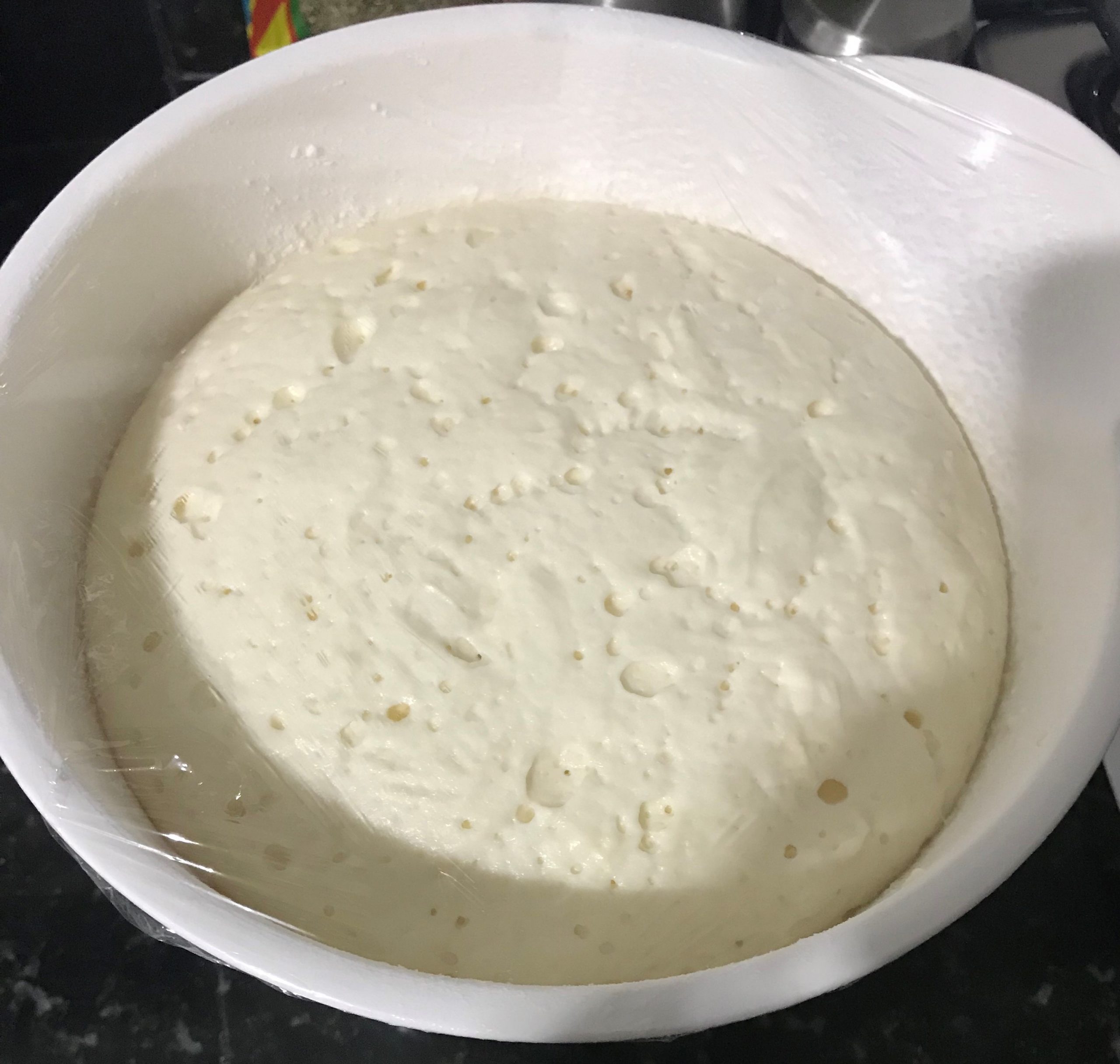 Fermentation of gluten-free Italian bread in the first hour at room temperature.