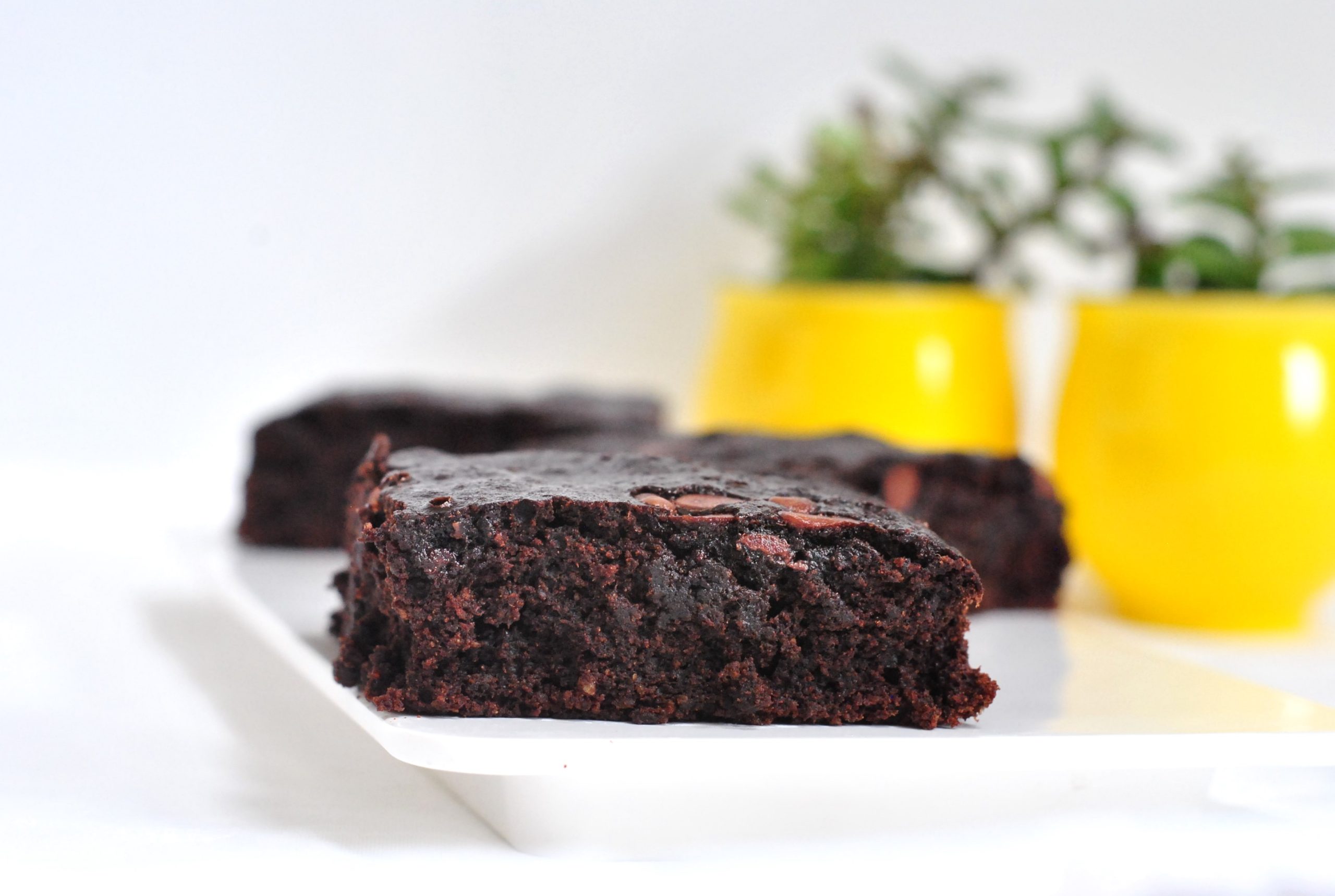 gluten-free, lactose-free, fat-free brownie